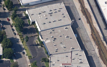 Iris International, Inc.